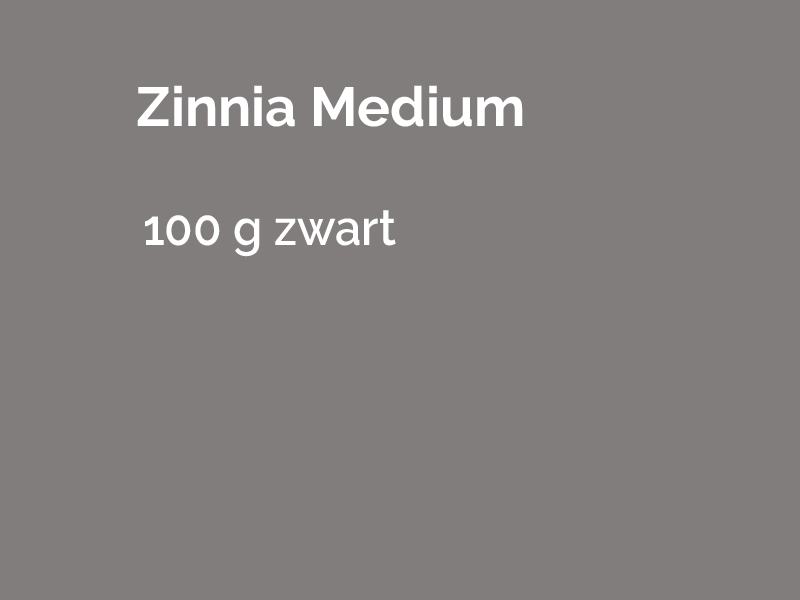 Zinnia medium.png